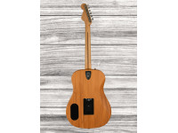 Fender Highway Series Dreadnought Rosewood Fingerboard All-Mahogany Fender Highway Series Dreadnought Rosewood Fingerboard All-Mahogany